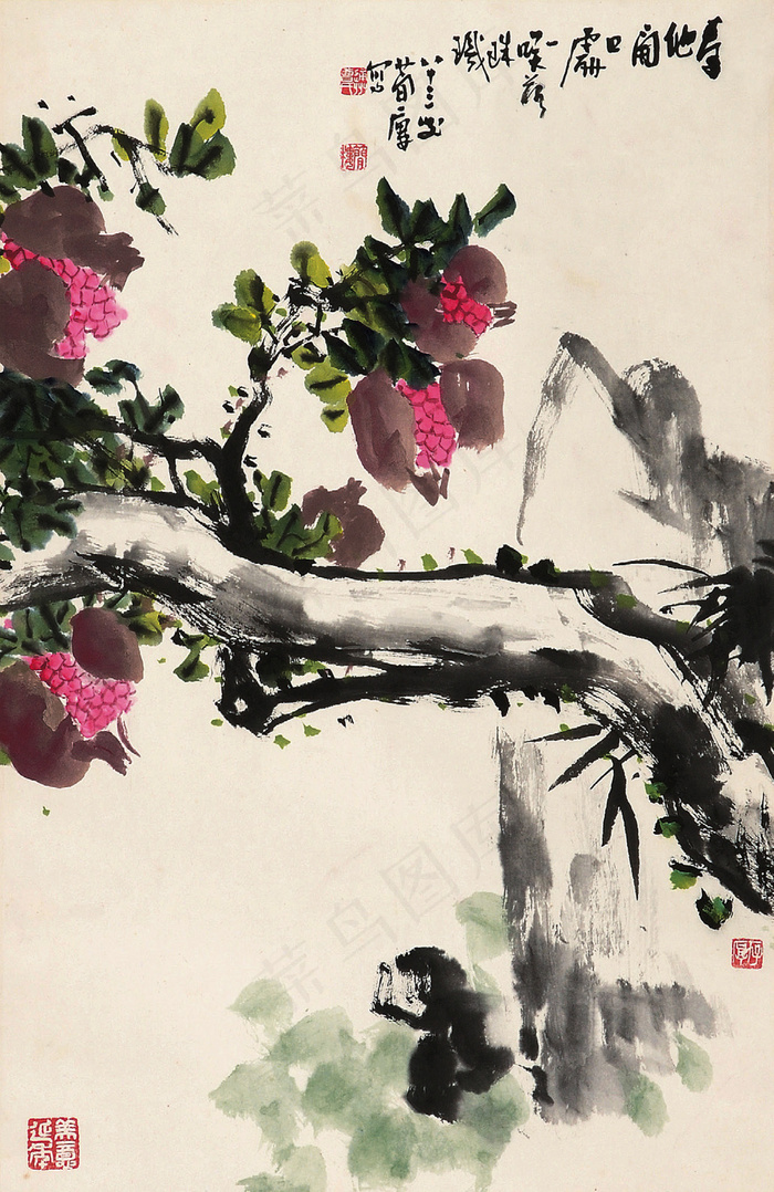 石榴图片