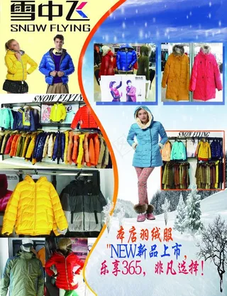 雪中飞宣传单图片