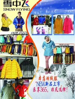 雪中飞宣传单图片 雪中飞宣传单图片