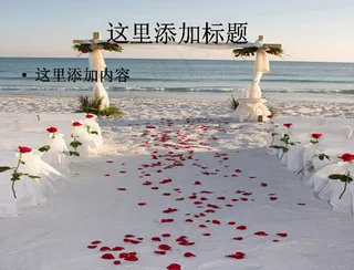 海边浪漫婚礼图片ppt素材-2节...
