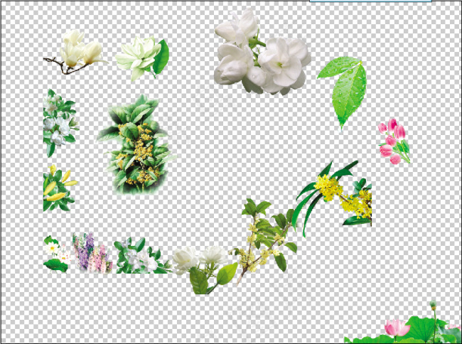 高清花抠图文件