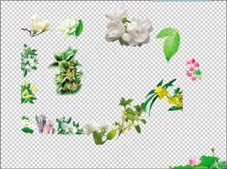 高清花抠图文件