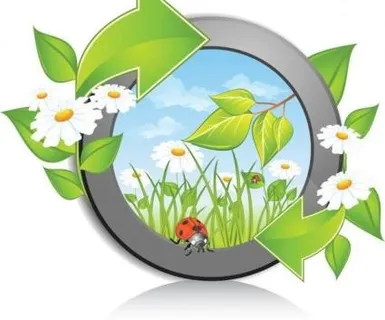 美丽的花朵背景02矢量