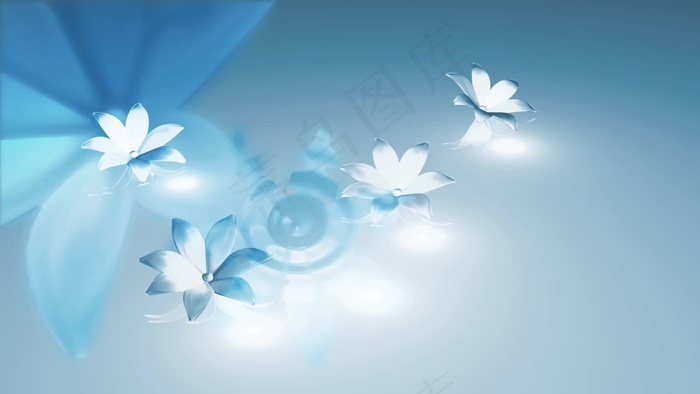 美丽的花给光运动背景 视频免费下载