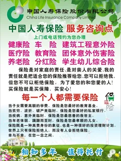 人寿保险服务咨询