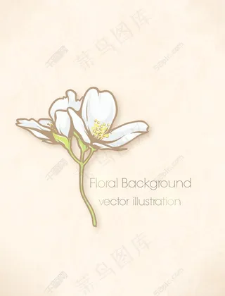 春天开花的花卉背景矢量插画