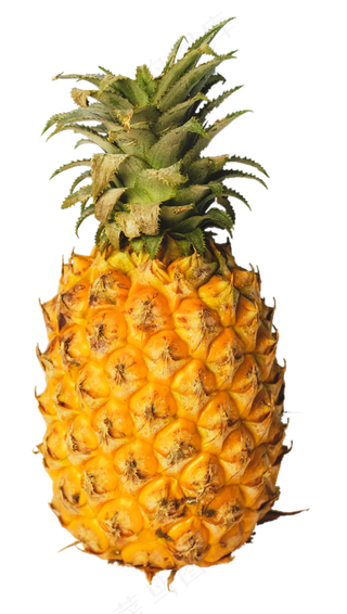 黄色简约风菠萝凤梨免抠元素 