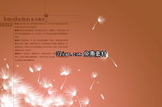 蒲公英画册内页PSD分层素材