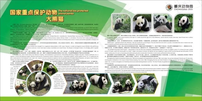 动物园大熊猫cdr矢量模版下载