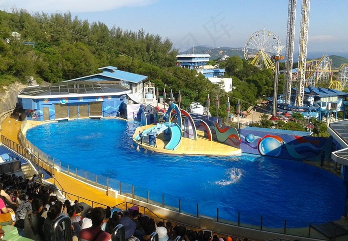 香港 海洋公园 海狮图片