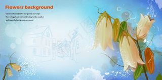 唯美浪漫花朵海报背景