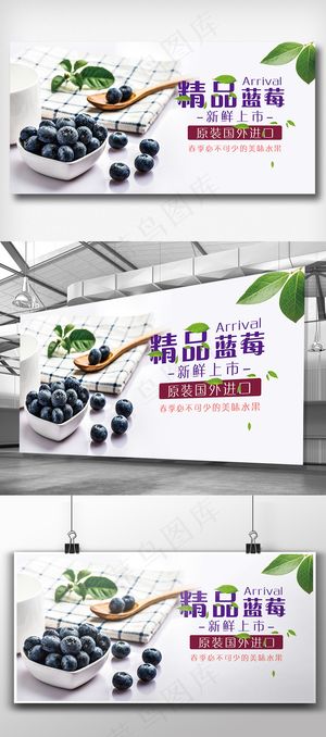 精品蓝莓展板设计