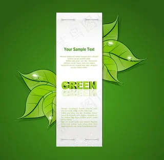 绿叶水珠水滴 绿色环保背景图片