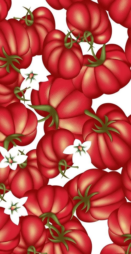 番茄