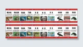 用于向客人展示各类鱼的营养价值的海报