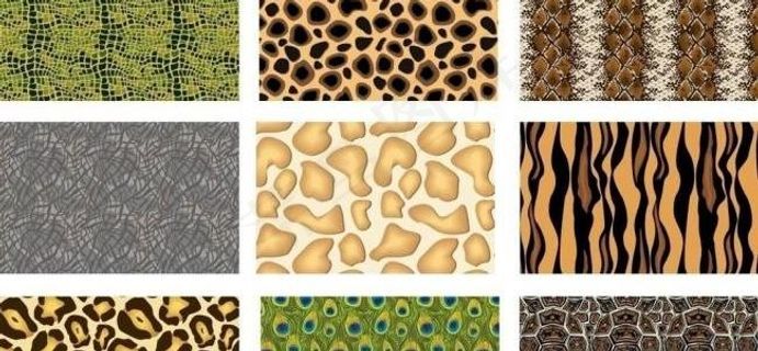 自然动物皮图片