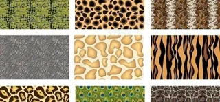 自然动物皮图片