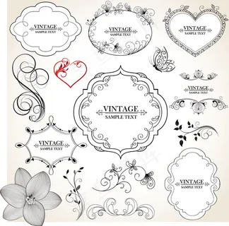 矢量简约线条花卉边框素材