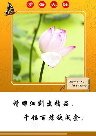 校园文化标语图片