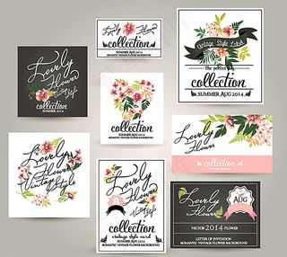 优雅花卉卡片图片