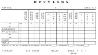 职业介绍工作情况表