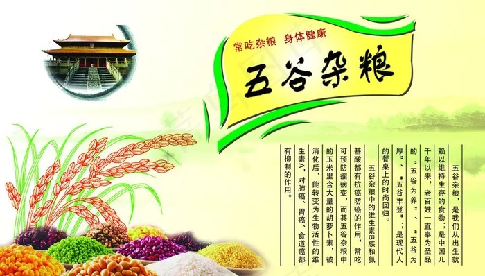 五谷杂粮图片(4724X2953(DPI:300))psd模版下载