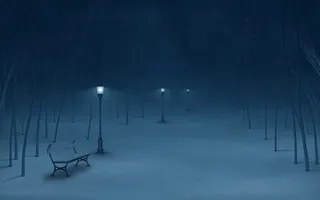 夜间树木灯光图片