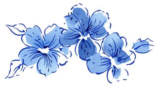 蓝色小花的素材