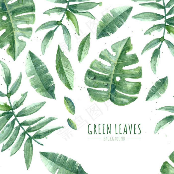 手绘小清新叶子植物花草