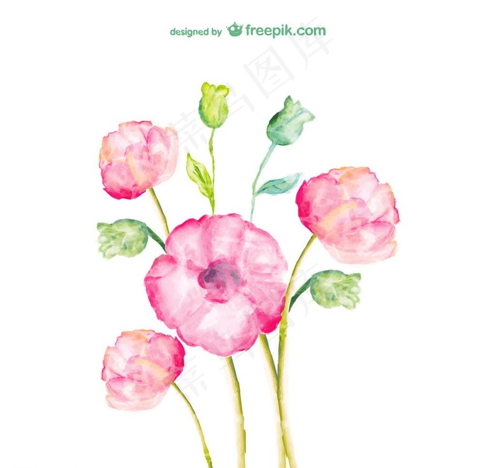 水彩花朵图片