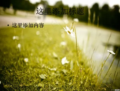 美丽风景(8) 美丽风景(8)