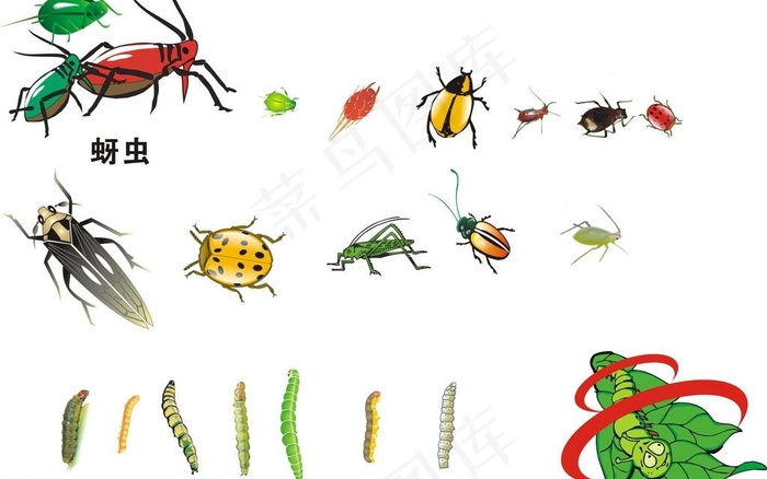 矢量虫子图片