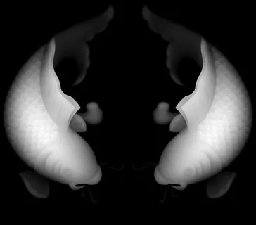双鱼灰度图