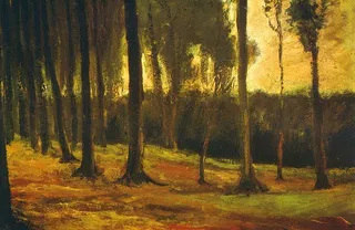 梵高 树林边图片