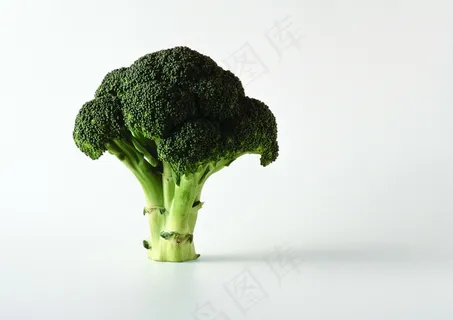 花菜 单颗 素材