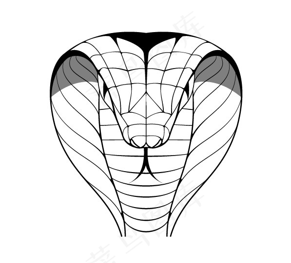 眼镜蛇头部线稿矢量图 AI