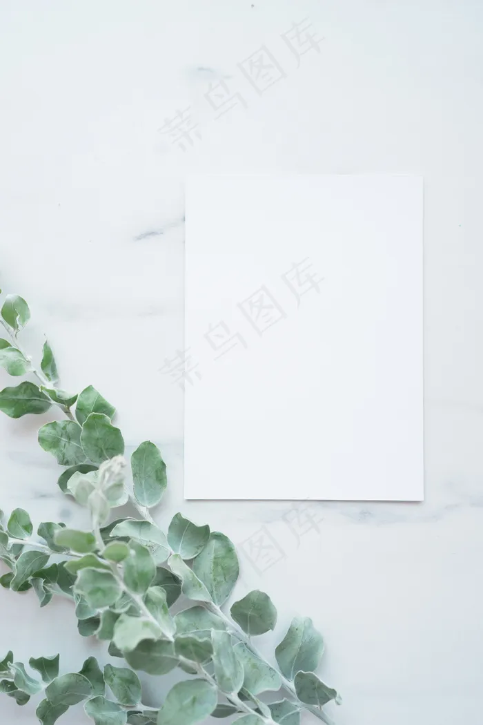 简约小清新文艺风插花静物摆拍背景