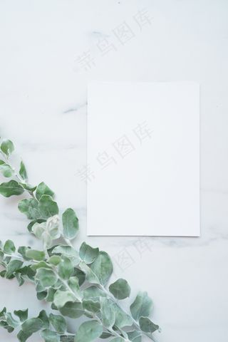 简约小清新文艺风插花静物摆拍背景