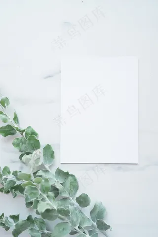 简约小清新文艺风插花静物摆拍背景