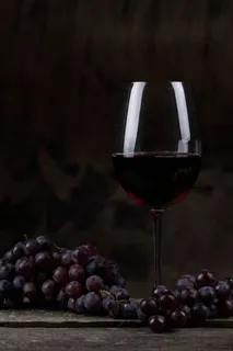 葡萄与红酒图片 葡萄与红酒图片