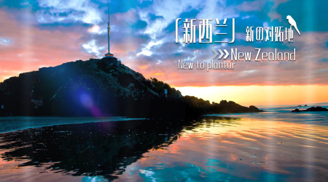 魅力新西兰psd模版下载