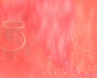 婚礼两只金戒指红色花背景