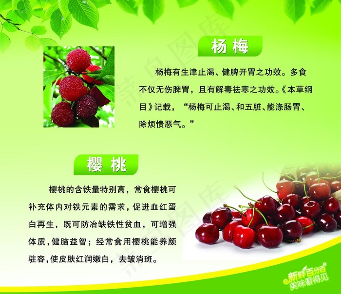 水果简介图片psd模版下载