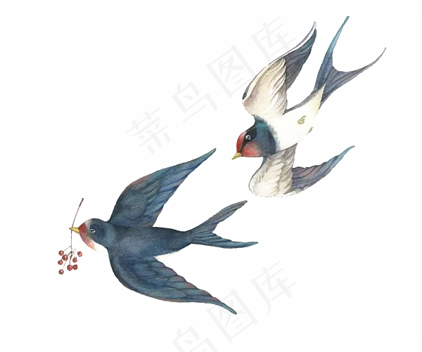 燕子免抠元素