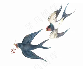 燕子免抠元素