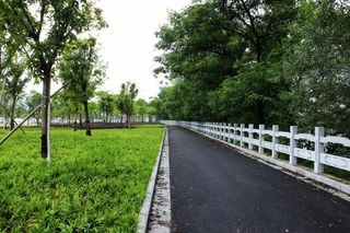 柏油路绿化带图片
