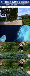 海洋公园海底世界动物世界实拍视频素...