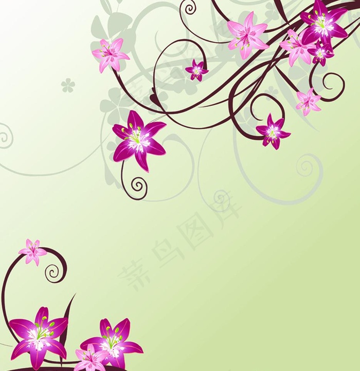 百合 花纹图片