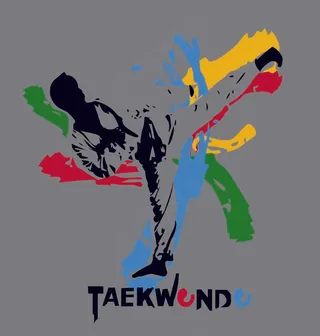 泼墨跆拳道矢量图