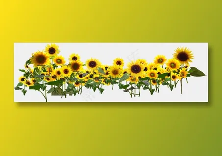 向日葵免抠素材PNG分层